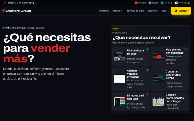 Sitio de Drakorp Group: Un diagnóstico de tres toques en la portada que lleva a cada visitante con la empresa correcta.